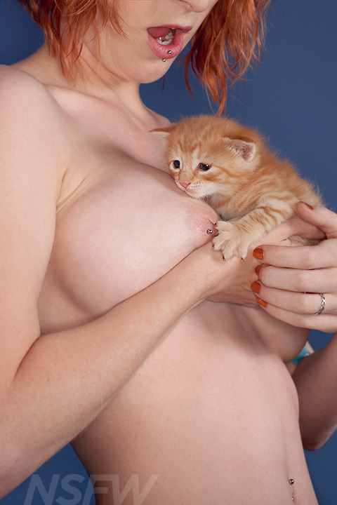 One of many adorable months in this year’s Kitties &amp; Titties 2014 calendar.
