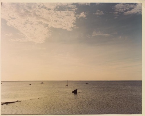 Joel MeyerowitzJetty High Cloud, 1983