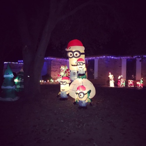 Yard decorations are up and...
