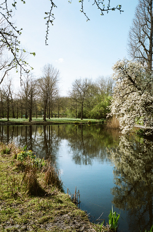 “Spring in Amsterdam”Amsterdam - 2022Leica M6 - Kodak Portra 160 + 400