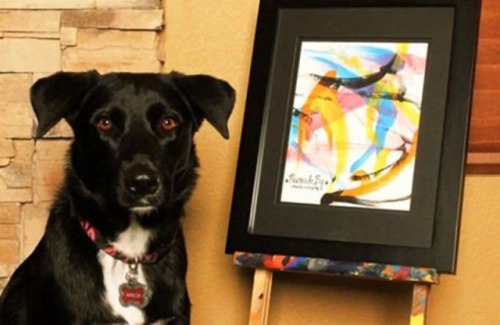 x0livelaughlove0x: This dog is more artistically talented than I am…