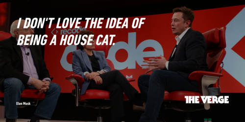 theverge:THREE THINGS ELON MUSK JUST SAID ABOUT THE FUTURE.
