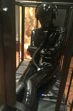 whipman-andy:Let’s see how long it takes, until you beg to be released….I wrote the minimum number of hours on a post-it but you have to guess well the time. If you start begging before your rubber punishment will be doubled. Have fun guessing, pup!