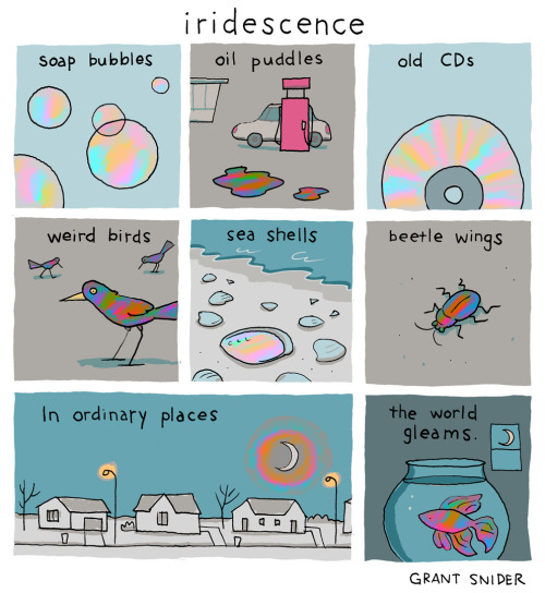 incidentalcomics:IridescenceBuy My Book | Poster Shop | Support Incidental Comics on Patreon
