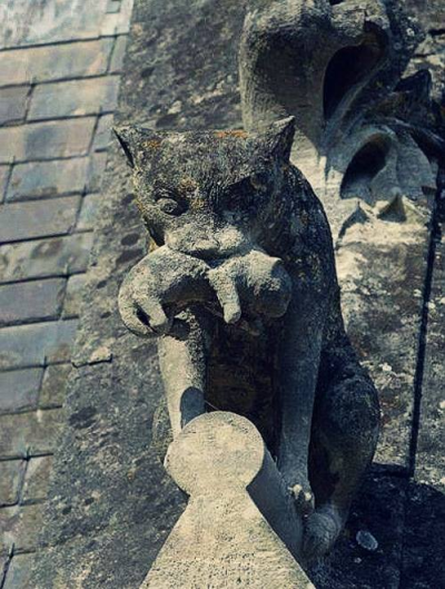 thingsfromthedirt:Cat with a kitten, gargoyle-chimère on the roof of the Château de Pierrefonds, France. Built ca.1393-1407, restored between 1857-1885