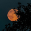 glowingmoon27