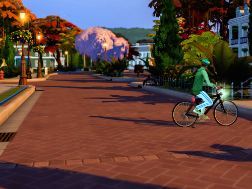 Autumn Arrived In Willow Creek (Aileens Favorite Season)