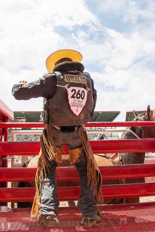 cowboysstuds:  Cheyenne Frontier Days™ adult photos