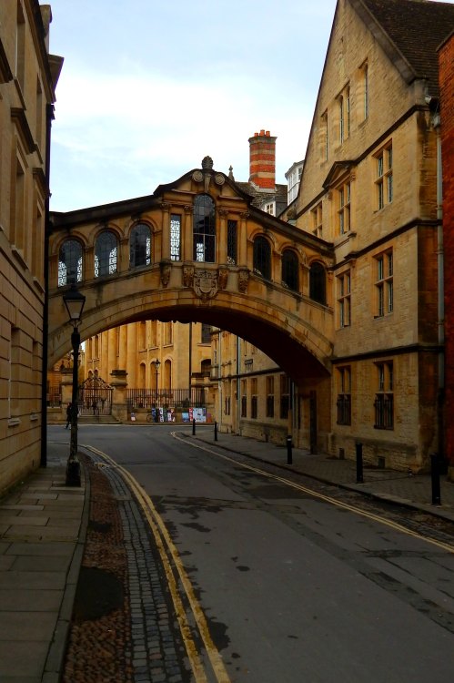 fuckitandmovetobritain:Oxford [3]