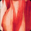 cherryssh
