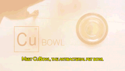the-dog-fandom:  sushinfood:  sizvideos:  Discover CuBowl, the antibacterial pet bowl that doesn’t get slimy. Get more information here  PLEASE BOOST THIS! THIS WILL ALSO HELP WITH REDUCING PAINFUL FELINE ACNE THAT FORMS ON YOUR CAT’S CHIN DUE TO