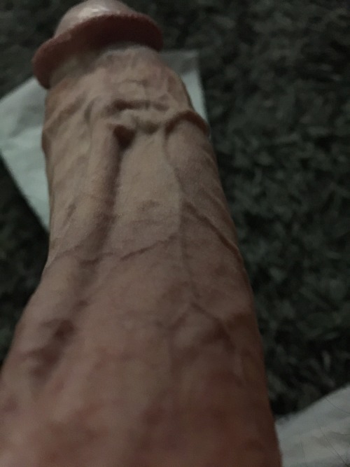 Veiny cock detail