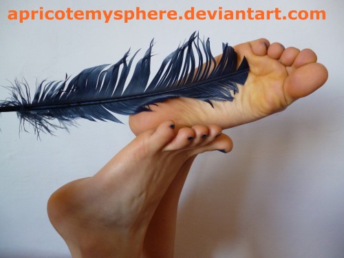 theecstasyofdefeet: Feather 13 by ~apricotemysphere