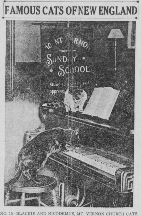 yesterdaysprint: Boston Post, Massachusetts, December 24, 1920 