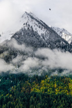 nordvarg:  First Snow \\ Chablais Spirit   