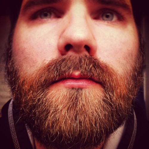 beardsftw:  a-clue:  This is what no shave november got my beard to…a few more days and it’ll be trimmed up.  [[ Follow BeardsFTW! ]] 