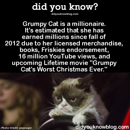 did-you-kno:  Grumpy Cat is a millionaire. It’s estimated that she has earned millions