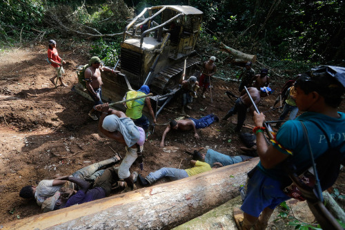 america-wakiewakie:  Amazon Indian Warriors Beat and Strip Illegal Loggers in Battle for Jungle’s Future | Warrior Publications   A group of warriors from Brazil’s indigenous Ka’apor tribe tracked down illegal loggers in the Amazon, tied them up,