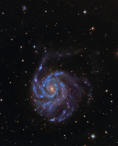 galaxyshmalaxy: M101 - Better processing??? (by Astro Steve)