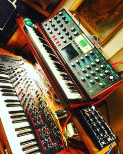 experimentalsynth:  Big sounds #Moog #sequentialcircuits