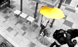 rabonghee:    “somewhere out there, there is a yellow umbrella for everyone.”  