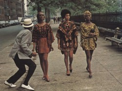 sensuousblkman:Harlem Queens in Cotton Comes