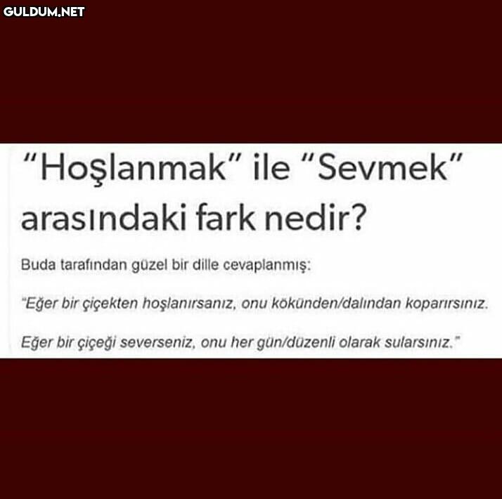 "Hoşlanmak" ile...