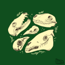 gatorskulls avatar