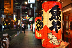 inefekt69:   	Dotonbori Lanterns by inefekt69    