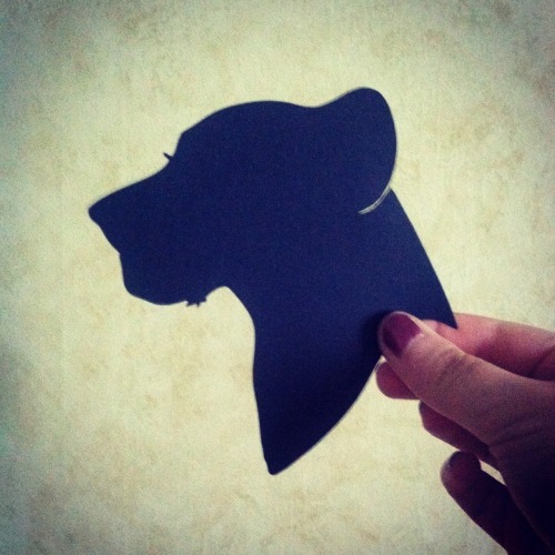 theshadowstudio:  I cut Simba and Nala silhouettes adult photos