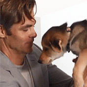 christhepine:Chris Pine + Puppies