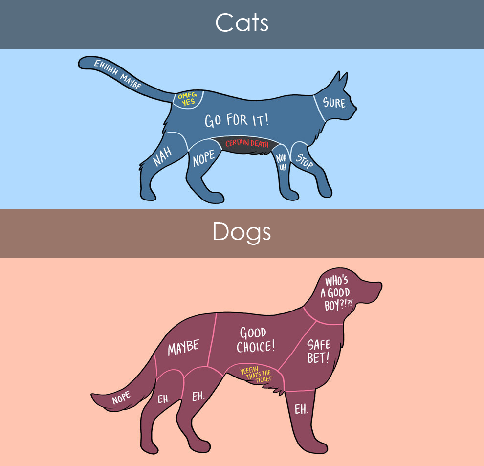 soulofahuntress:  xderpypotato:  unamusedsloth:  How to properly pet animals by Adam