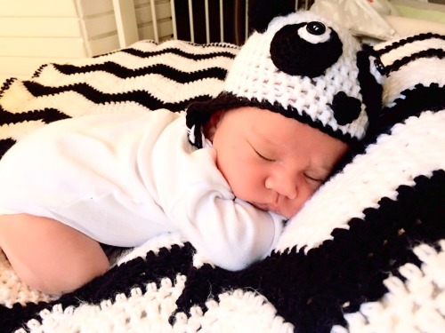 the cutest little panda ever ! &hellip; when you get a picture of the #baby that you made the hat &a