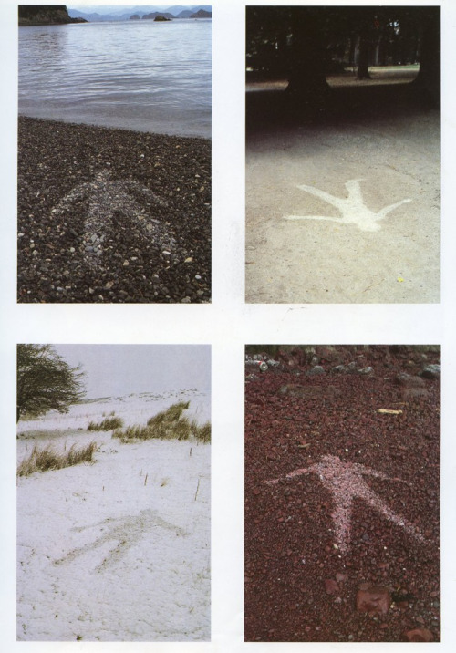 twelve-sunflowers: from Andy Goldsworthy’s Rain Shadow series. “they show the human pres