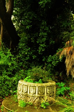 Villa Malfitano (Palermo, Sicily, IT)Everytime I go there I can see the set of a Miyazaki&rsquo;s movie&hellip; and drinking a glass of wine in front of this well reminds me a dream I had a long time ago&hellip;