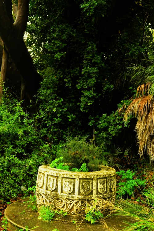 Villa Malfitano (Palermo, Sicily, IT)Everytime I go there I can see the set of a Miyazaki’s movie… and drinking a glass of wine in front of this well reminds me a dream I had a long time ago…