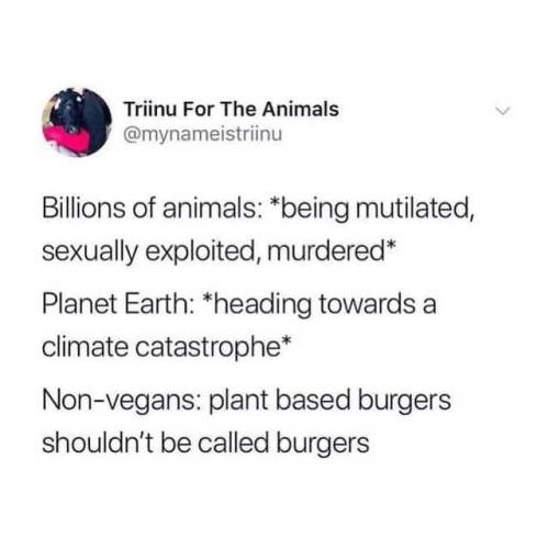 shit carnists say