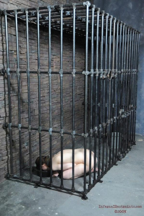 inductionofautosadism:  Look at the size of this cage! Fucking luxurious. 