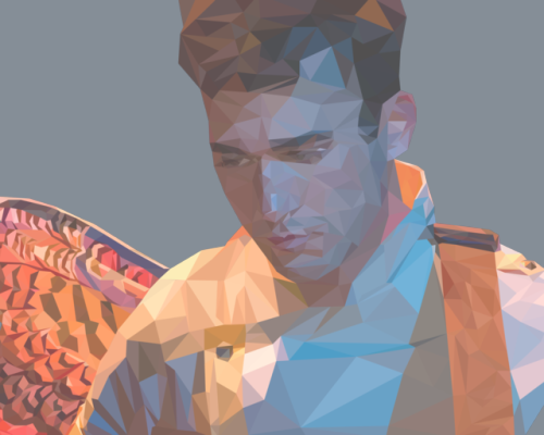 spidermanlet: Sufjan Stevens but with more triangles than usual