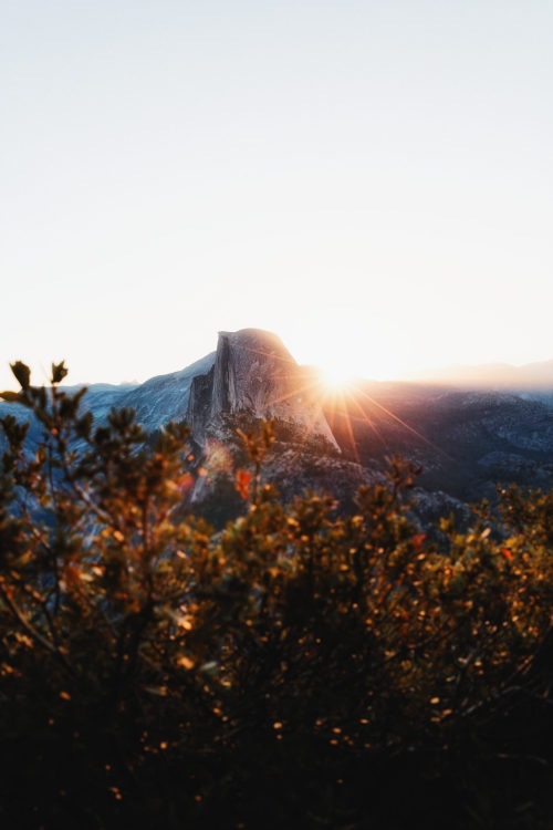 Yosemite morning view. .IG :: damianrileyphoto