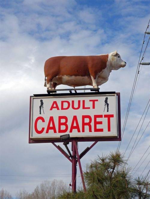 theamateur-professional: wilwheaton: gameraboy1: Adult Cabaret I have some questions. Did The MERL o
