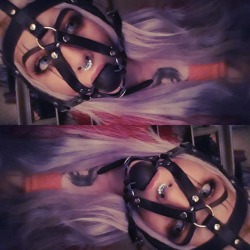 lovelefttomorrow:The gag  face harness someone