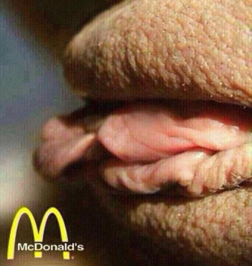 laughingmyfuckingoff: #pussy #hamburger #swag #hope #rich #delicius