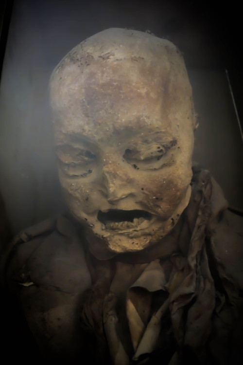 allthesaintsyoushouldknow:  The Carmelite Monastery of San Ángel Mexico City, Mexico  I’m currently working on a full piece for Atlas Obscura on theses guys but I couldn’t wait to share the photos. These are naturally occurring mummies on display