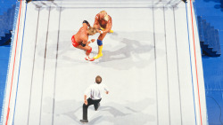 fishbulbsuplex:Hulk Hogan vs. Paul Orndorff