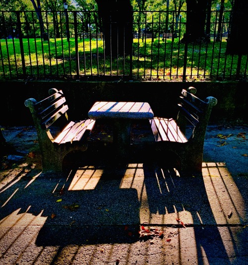 Park Bench in Light a Shadow, Queens by Liza Charlesworth