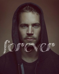 serenesummerbreeze:  RIP Paul Walker and the passenger that was with him. You will both be truly missed x