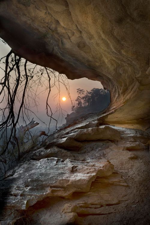 opticcvlture: Vew From The Cave by Robert Youart