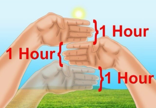 Tell time with just your hands