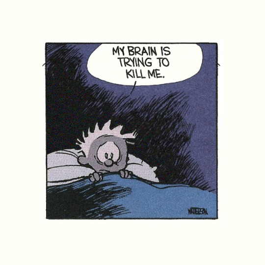 nevver:  Calvin and Hobbes